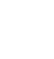 Partnership icon